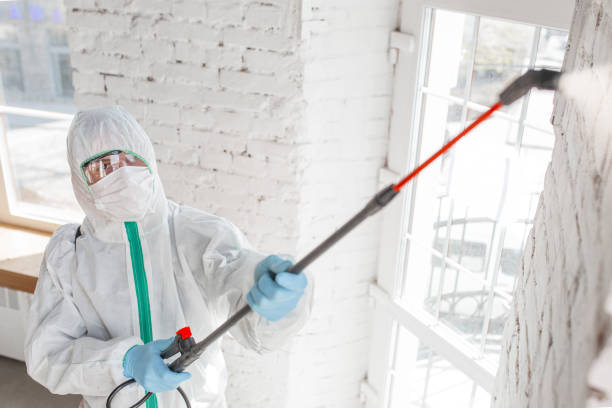 Best Airborne Mold Testing  in Los Alamos, NM
