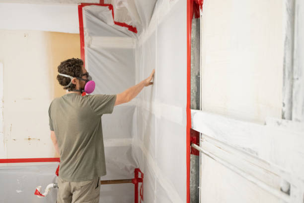 Los Alamos, NM Mold Removal Company