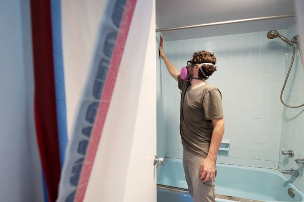 Best Mold Remediation for Healthcare Facilities  in Los Alamos, NM