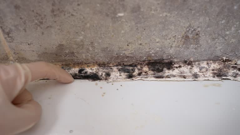 Best Post-Remediation Verification Testing  in Los Alamos, NM