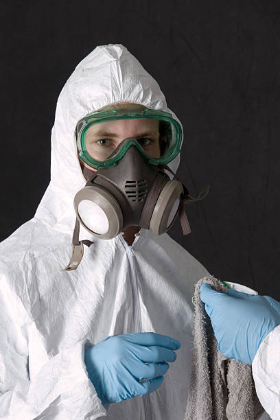 Best Mold Damage Restoration  in Los Alamos, NM